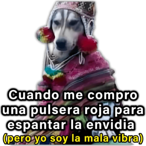 🍃🐶Perro Chamán 2 | Pachamama🐶🍃 

