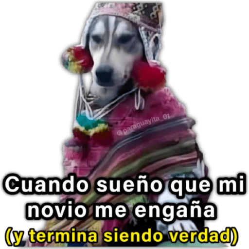 🍃🐶Perro Chamán 2 | Pachamama🐶🍃 
