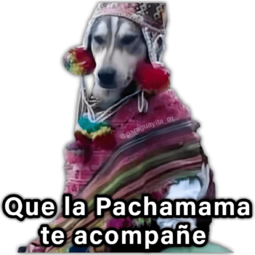 🍃🐶Perro Chamán 2 | Pachamama🐶🍃 
