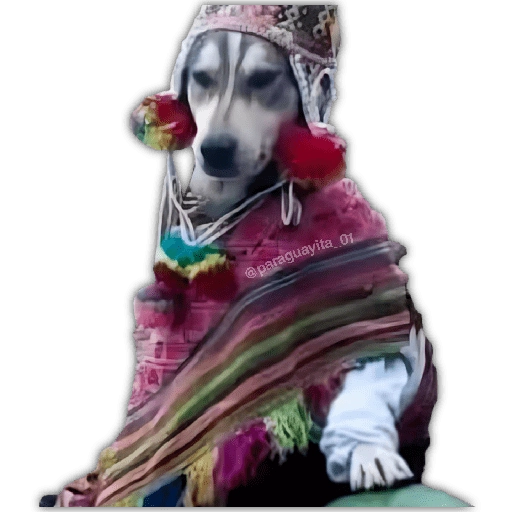 🍃🐶Perro Chamán 2 | Pachamama🐶🍃 
