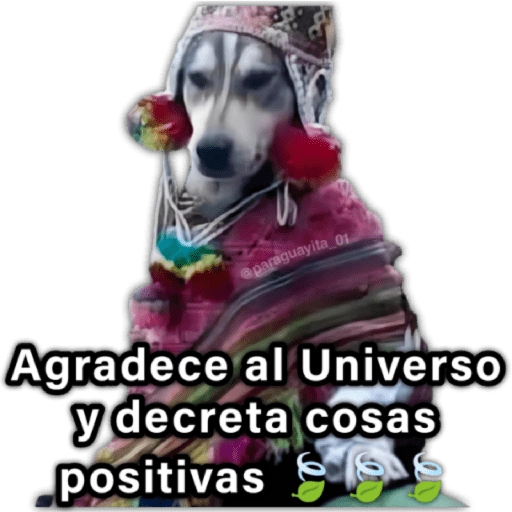🍃🐶Perro Chamán 2 | Pachamama🐶🍃 
