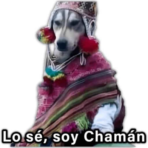 🍃🐶Perro Chamán 2 | Pachamama🐶🍃 

