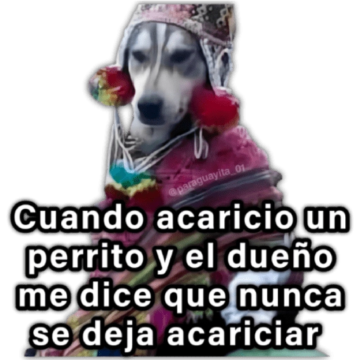 🍃🐶Perro Chamán 2 | Pachamama🐶🍃 
