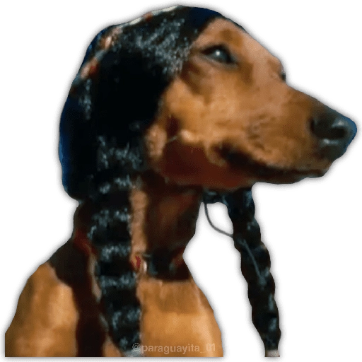 🍃🐶Perro Chamán 2 | Pachamama🐶🍃 
 preview