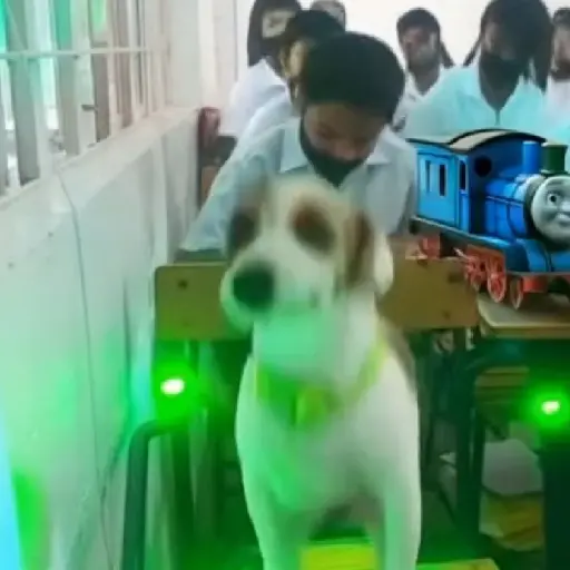 🎵 TIKTOKeando 32🎵 
