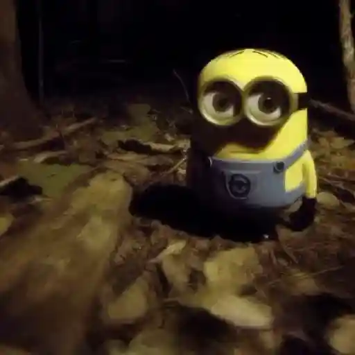 🎵 TIKTOKeando 32🎵 
