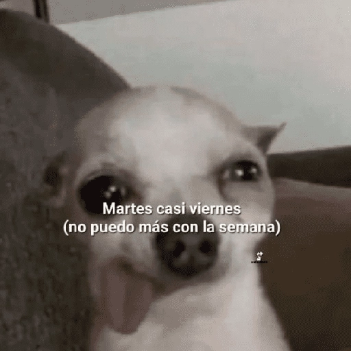 Yo vs. Los días de la semana🤪✨ 

