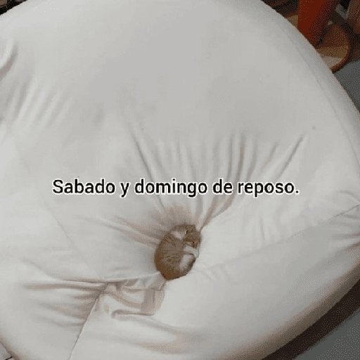 Yo vs. Los días de la semana🤪✨ 
