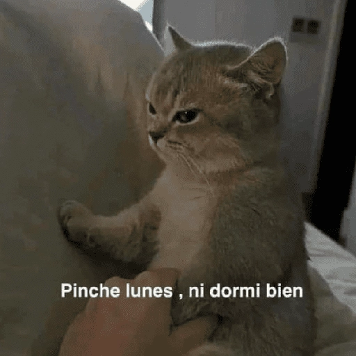 Yo vs. Los días de la semana🤪✨ 
