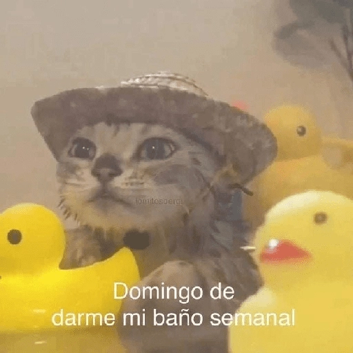 Yo vs. Los días de la semana🤪✨ 
