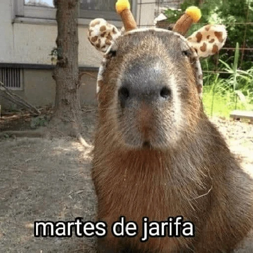 Yo vs. Los días de la semana🤪✨ 
