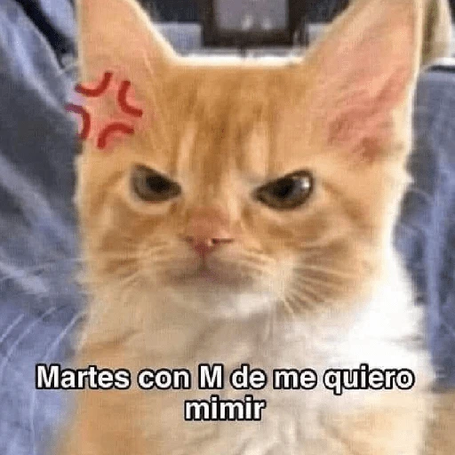 Yo vs. Los días de la semana🤪✨ 
