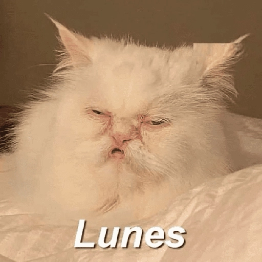 Yo vs. Los días de la semana🤪✨ 
 preview