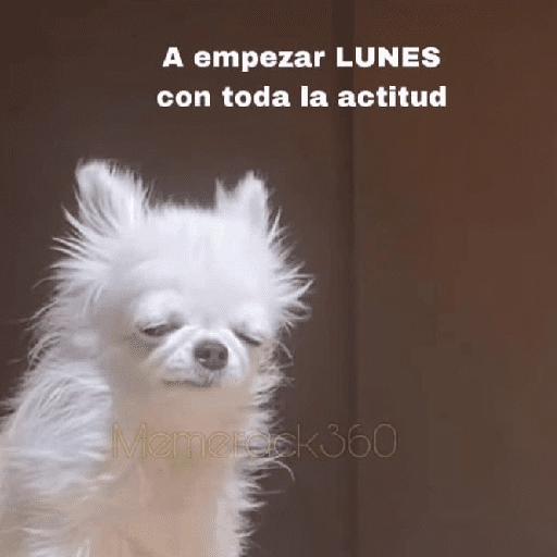 Yo vs. Los días de la semana🤪✨ 
