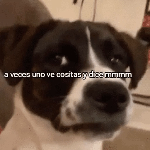 Shitpost MIX ☝🏻🤓 
