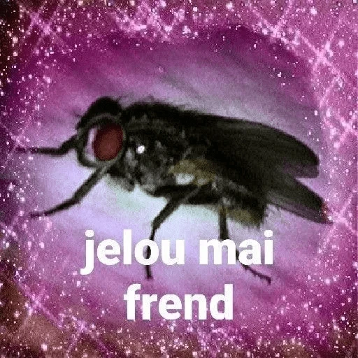 Shitpost MIX ☝🏻🤓 
