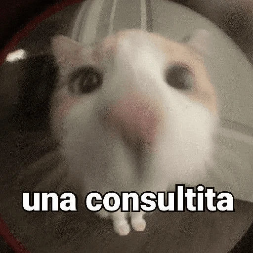 Shitpost MIX ☝🏻🤓 
