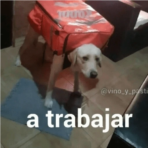 Shitpost MIX ☝🏻🤓 

