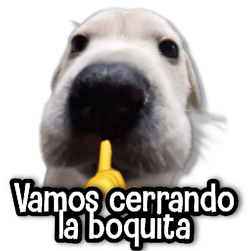 De todo un Poco #➒ ⛅ 
