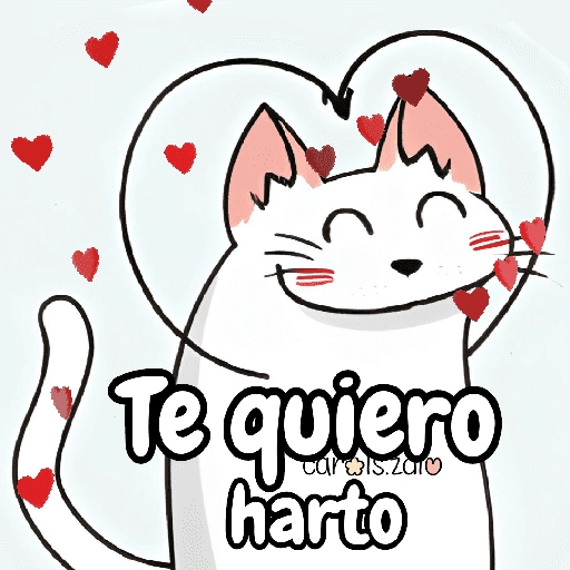 Flork michi gato pal'chat 🧦🐱 
