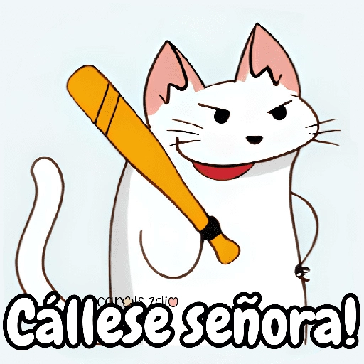 Flork michi gato pal'chat 🧦🐱 
