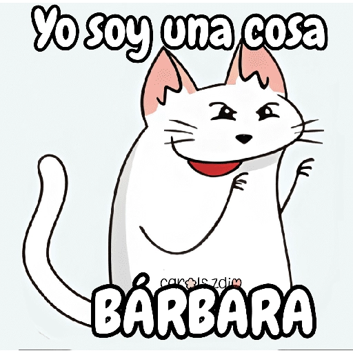 Flork michi gato pal'chat 🧦🐱 
