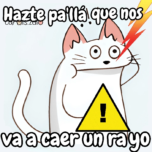 Flork michi gato pal'chat 🧦🐱 

