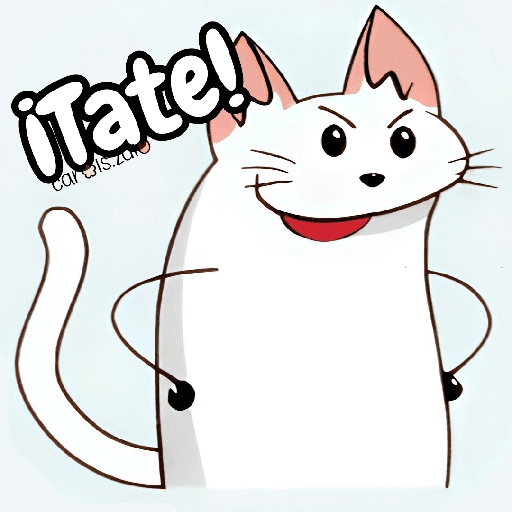 Flork michi gato pal'chat 🧦🐱 
