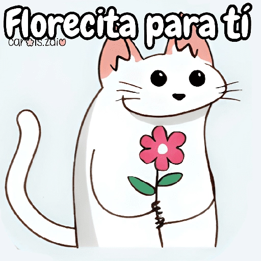 Flork michi gato pal'chat 🧦🐱 

