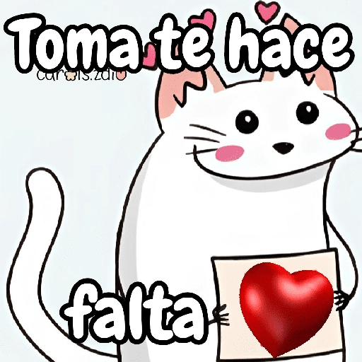 Flork michi gato pal'chat 🧦🐱 
