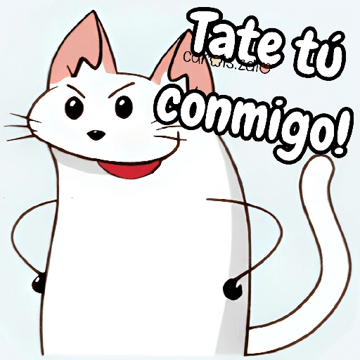 Flork michi gato pal'chat 🧦🐱 
