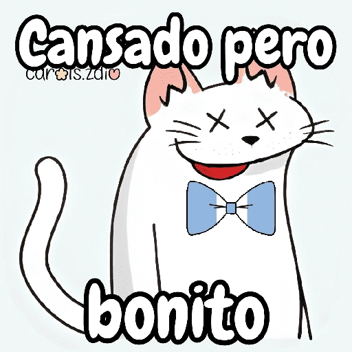 Flork michi gato pal'chat 🧦🐱 
