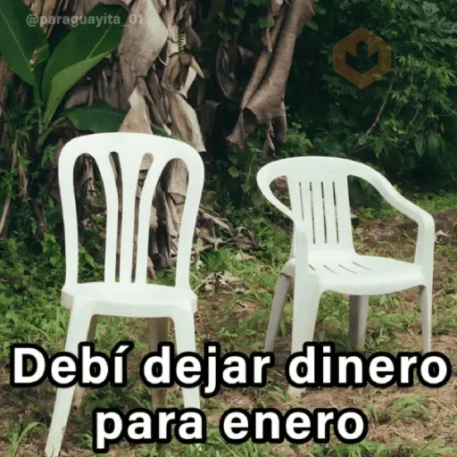🍃🪑📸 DEBÍ Frases 📸🪑🍃 [DTMF] sticker 12