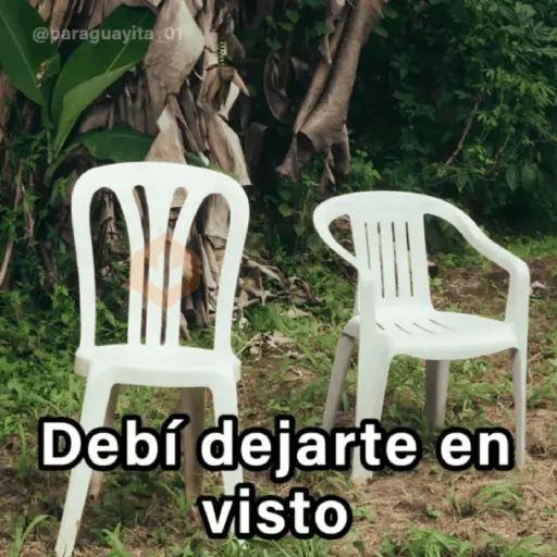 🍃🪑📸 DEBÍ Frases 📸🪑🍃 [DTMF] sticker 17