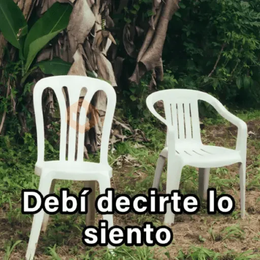 🍃🪑📸 DEBÍ Frases 📸🪑🍃 [DTMF] sticker 20