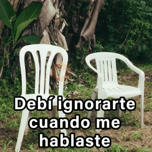 🍃🪑📸 DEBÍ Frases 📸🪑🍃 [DTMF] sticker 21