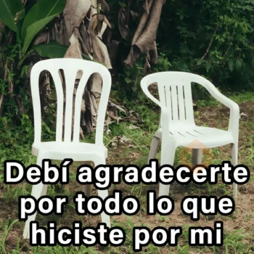 🍃🪑📸 DEBÍ Frases 📸🪑🍃 [DTMF] sticker 11