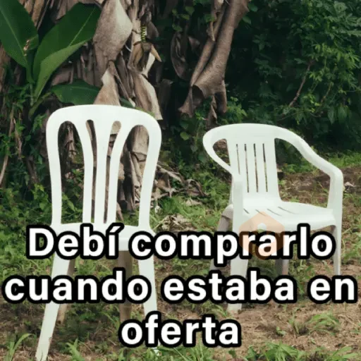 🍃🪑📸 DEBÍ Frases 📸🪑🍃 [DTMF] sticker 19