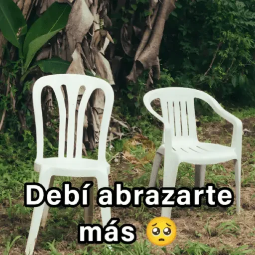 🍃🪑📸 DEBÍ Frases 📸🪑🍃 [DTMF] sticker 15