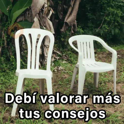 🍃🪑📸 DEBÍ Frases 📸🪑🍃 [DTMF] sticker 14