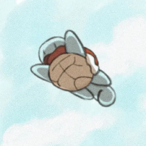 Tortuga Pokémon 😎
