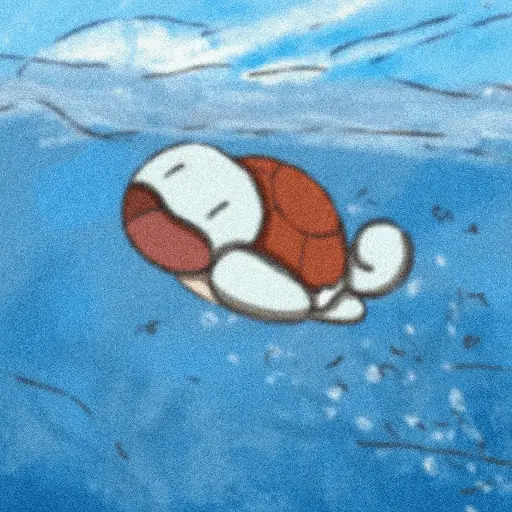 Tortuga Pokémon 😎