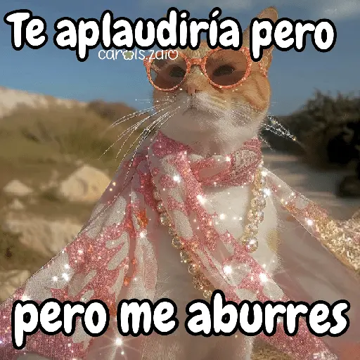 ✨️Tiktok Gatos Brillantes 🐈✨️