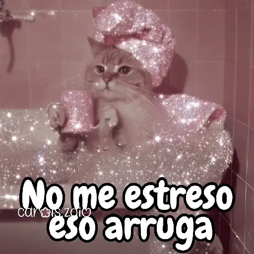 ✨️Tiktok Gatos Brillantes 🐈✨️
