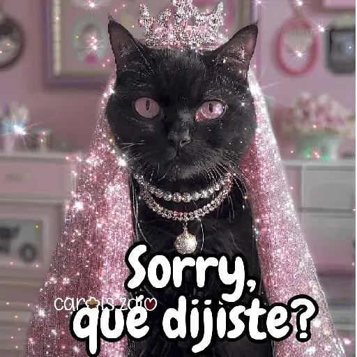 ✨️Tiktok Gatos Brillantes 🐈✨️