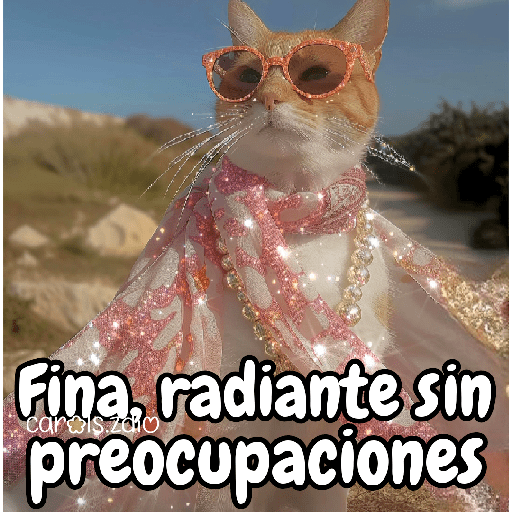 ✨️Tiktok Gatos Brillantes 🐈✨️ preview