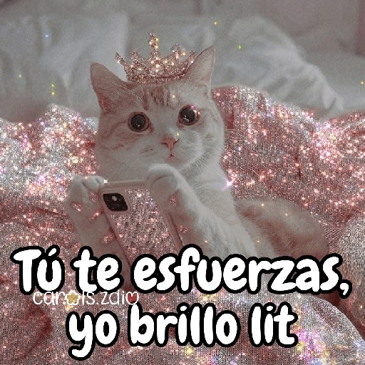 ✨️Tiktok Gatos Brillantes 🐈✨️ preview