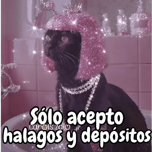 ✨️Tiktok Gatos Brillantes 🐈✨️