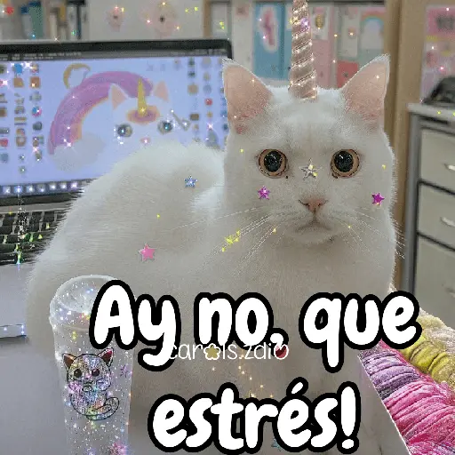 ✨️Tiktok Gatos Brillantes 🐈✨️