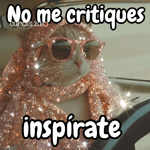 ✨️Tiktok Gatos Brillantes 🐈✨️ preview